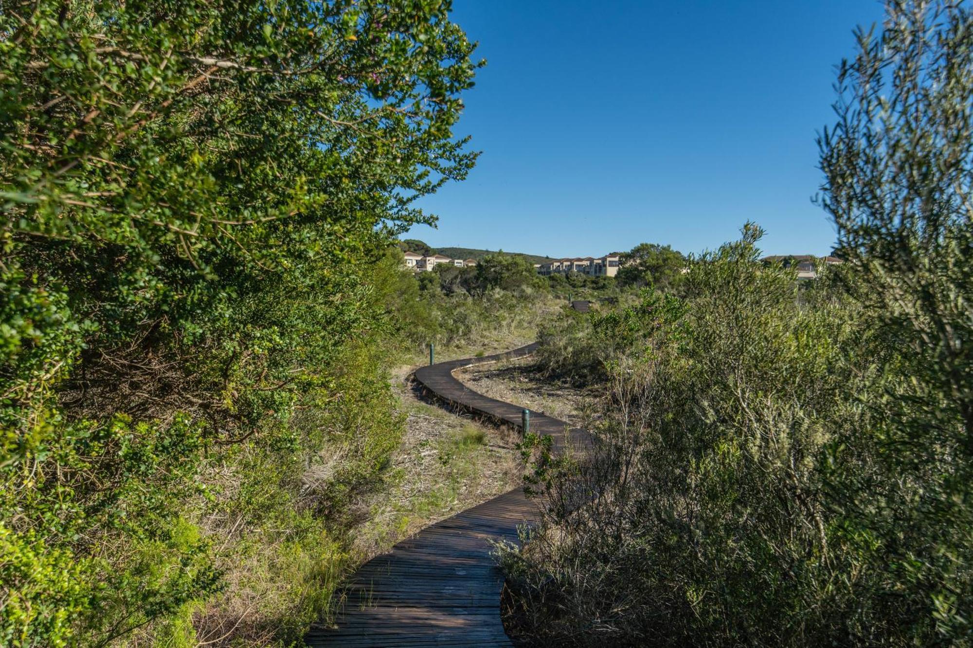 P7 - Goose Valley - Ocean Views Плеттенберг-Бей Экстерьер фото